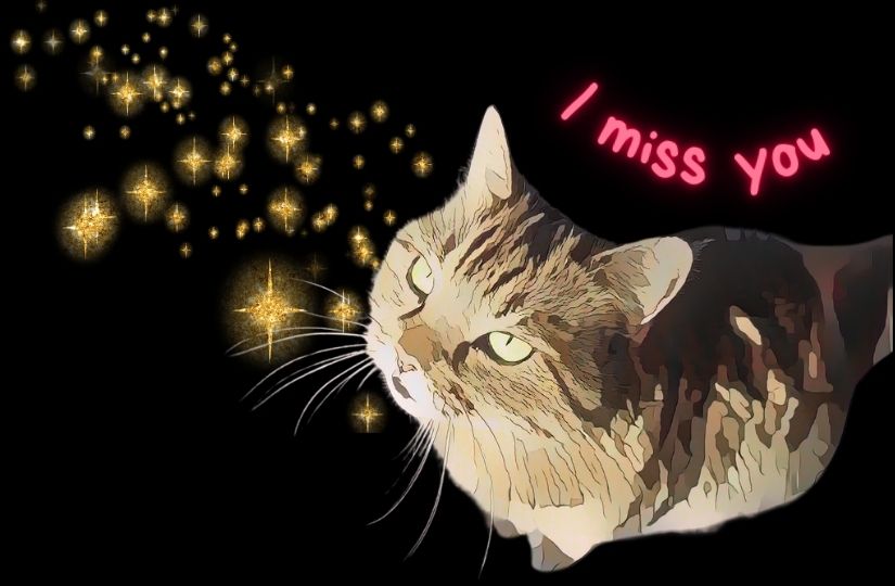 Descripción del diseño Contenedor 2