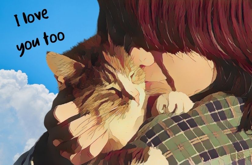 Descripción del diseño Contenedor 2