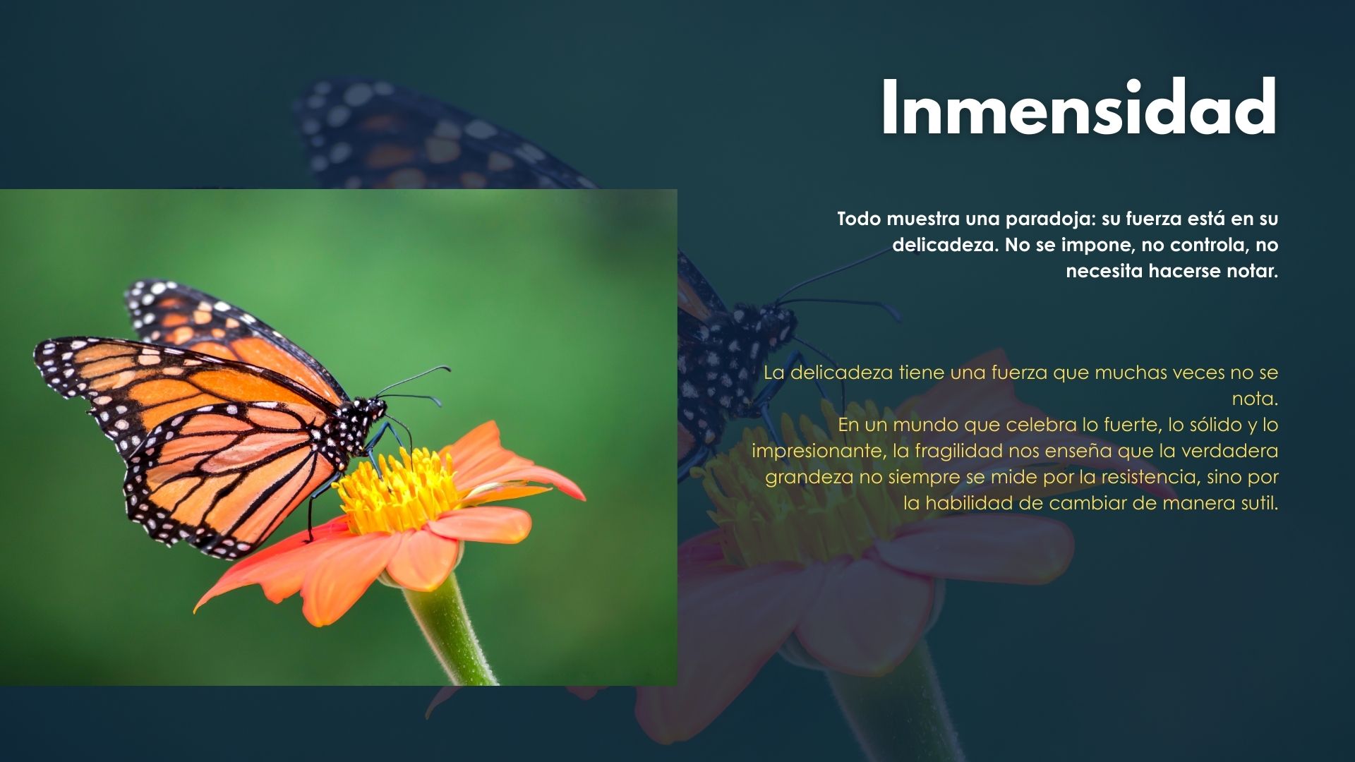 (Español) Tierra(4)