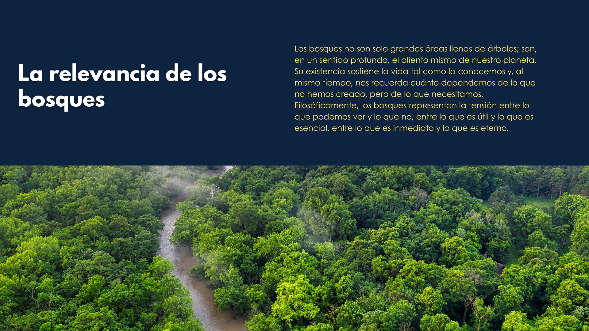 (Español) Tierra(6)